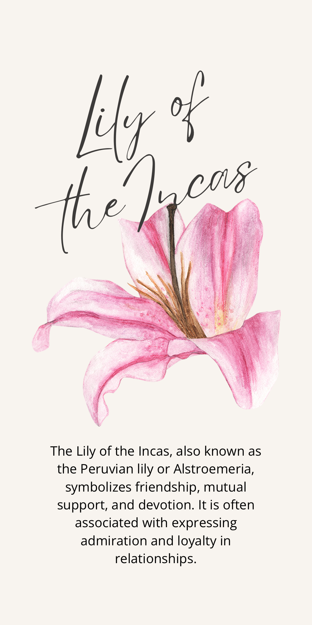 Lily of The Incas Petal Earrings
